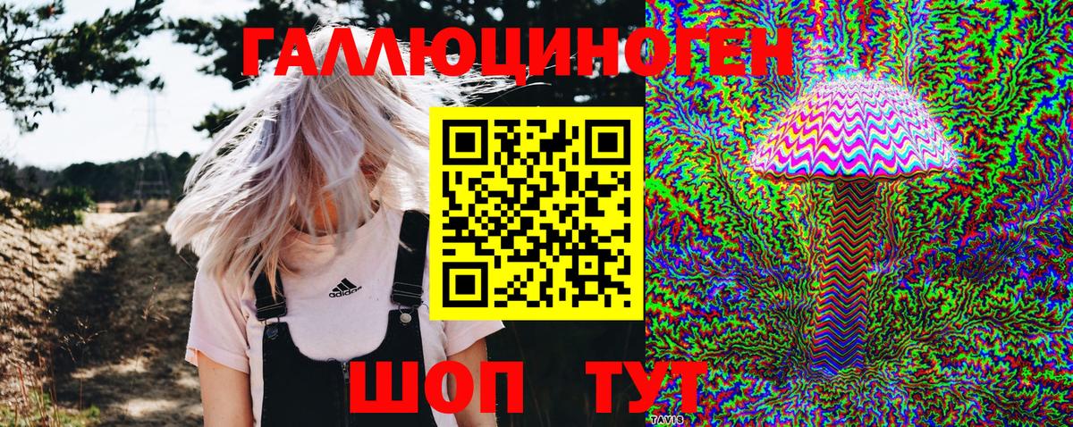 Псилоцибиновые грибы Magic Shrooms  Вход с VPN  Тимашёвск  Псилоцибиновые грибы GOLDEN TEACHER 
